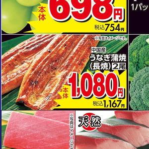うなぎの蒲焼き