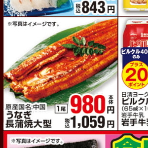 うなぎの蒲焼き