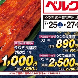 うなぎの蒲焼き