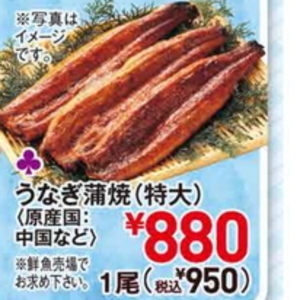 うなぎの蒲焼き