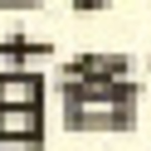豆苗