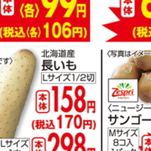 ながいも