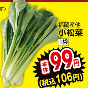 こまつ菜