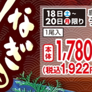 うなぎの蒲焼き