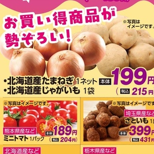 たまねぎ