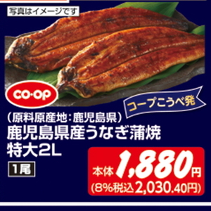 うなぎの蒲焼き
