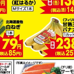 ながねぎ