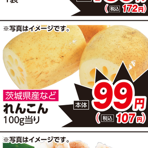 レンコン