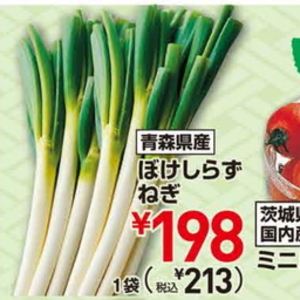 ながねぎ
