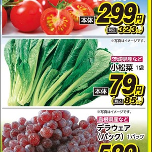 こまつ菜