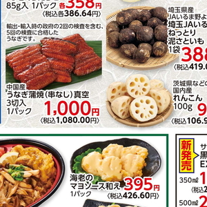 うなぎの蒲焼き