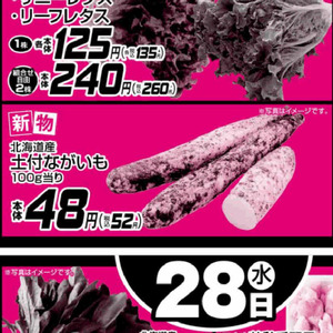 ながいも