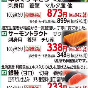 サーモン（さく取り）