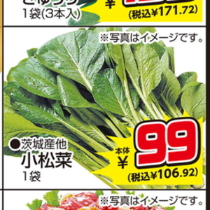 こまつ菜
