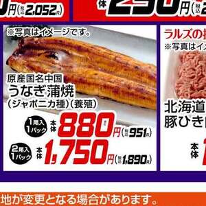 うなぎの蒲焼き