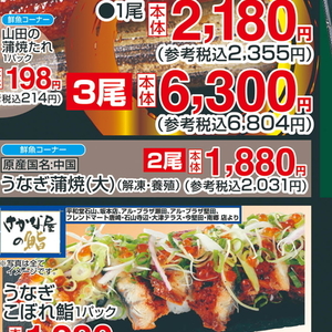 うなぎの蒲焼き