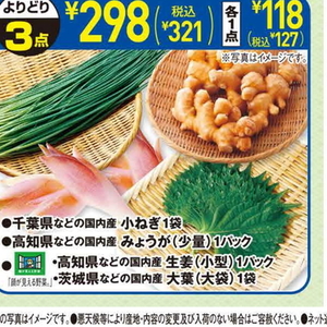 みょうが
