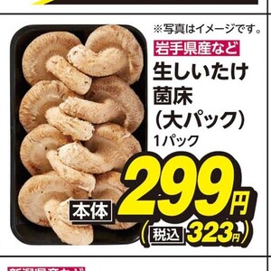 しいたけ