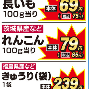 レンコン