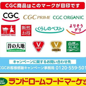 ベーコン