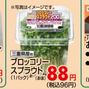 ブロッコリースプラウト