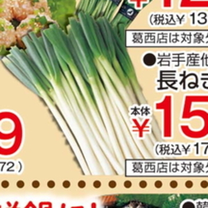 ながねぎ