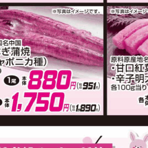 うなぎの蒲焼き