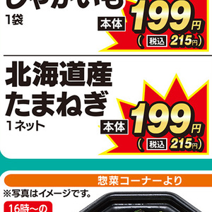 たまねぎ