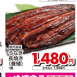 うなぎの蒲焼き
