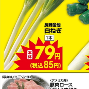 ながねぎ