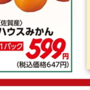 新ごぼう