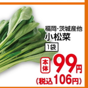 こまつ菜