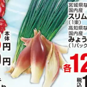 小葱