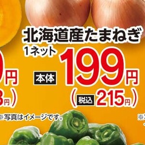 たまねぎ