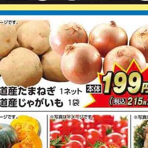 たまねぎ