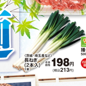 ながねぎ