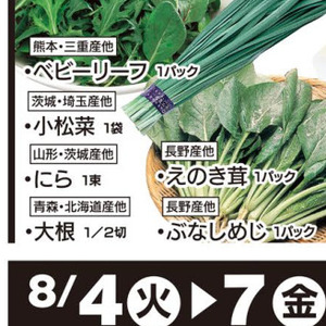 こまつ菜