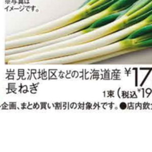 ながねぎ