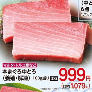 まぐろ中とろ