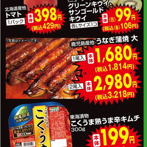 うなぎの蒲焼き