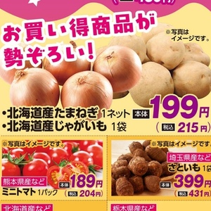 たまねぎ