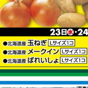 たまねぎ