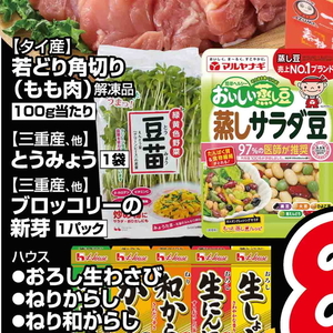ブロッコリースプラウト