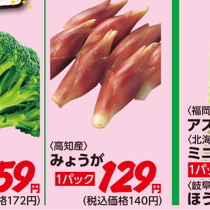 みょうが