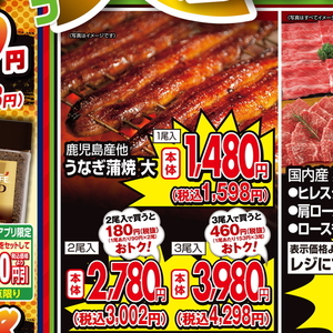 うなぎの蒲焼き
