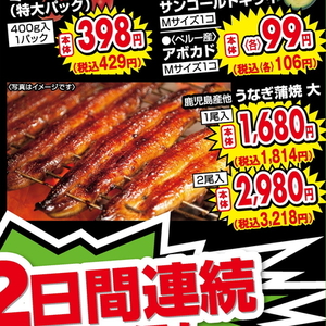 うなぎの蒲焼き