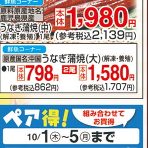 うなぎの蒲焼き