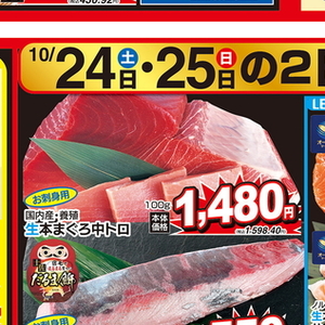 まぐろ中とろ