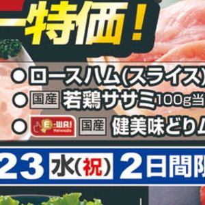 鶏ササミ