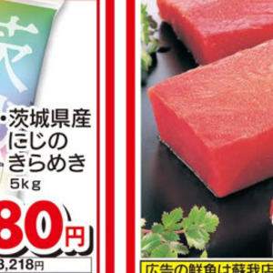 まぐろ（さく取り）